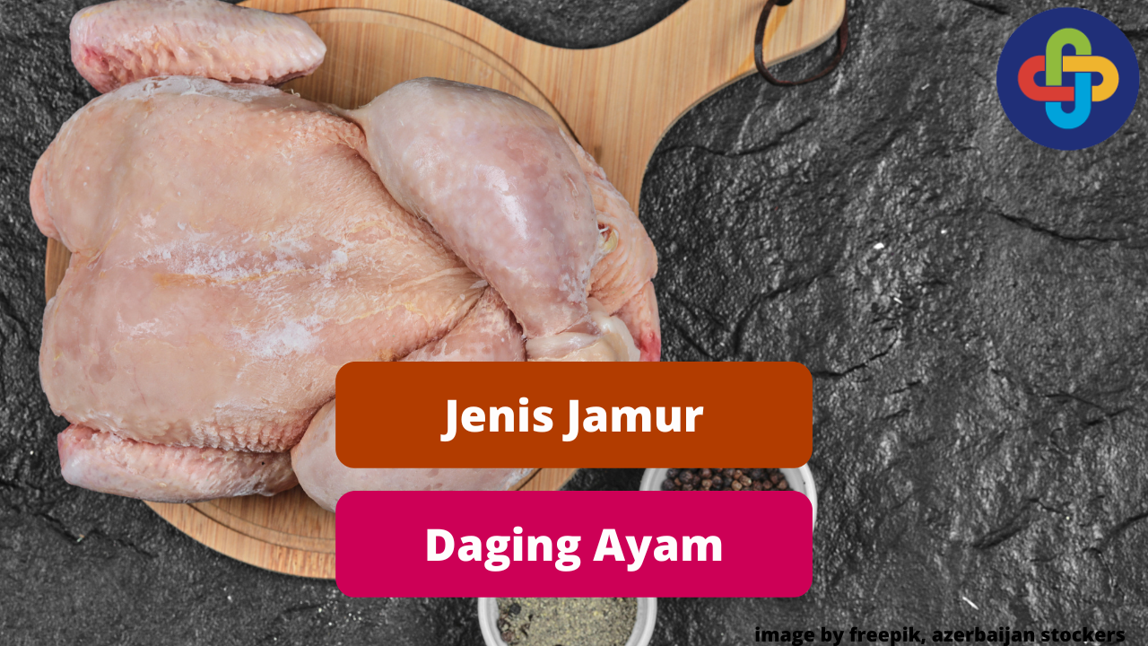 Kenali Beberapa Jenis Jamur Kontaminan Daging Ayam